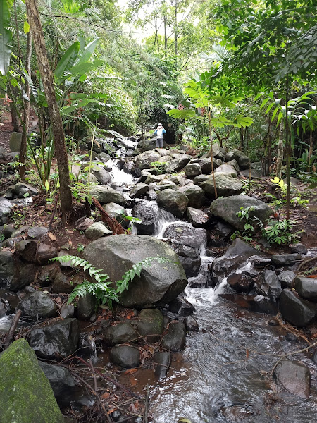 Curug Madi Kamojang Lokapedia