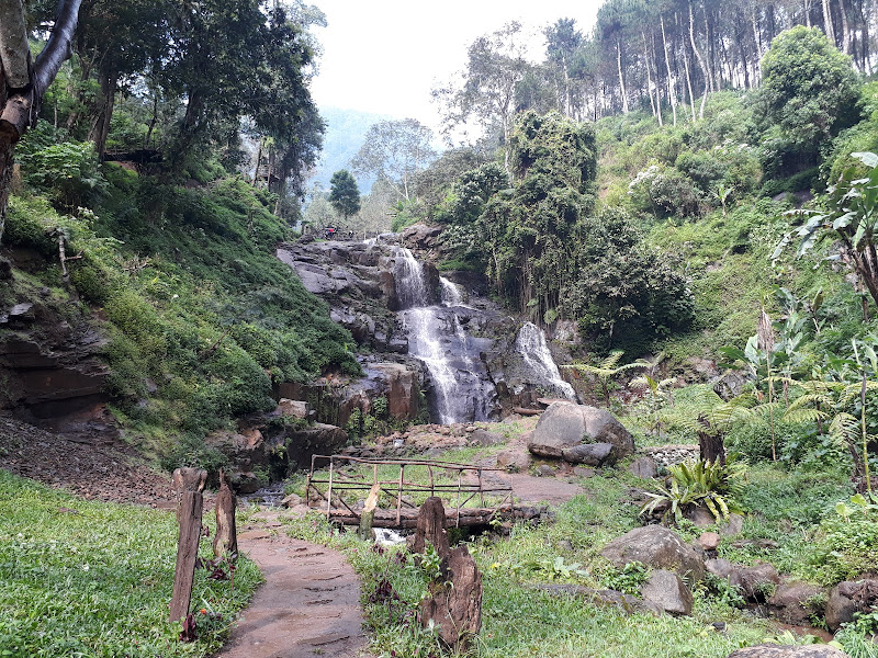 Curug Luhur Cibodas