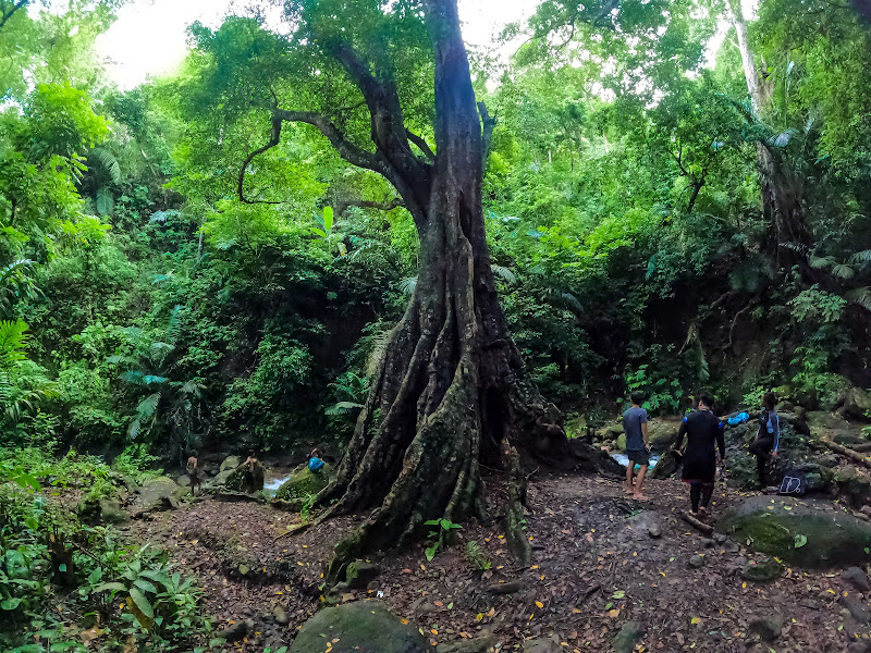 Air Terjun Buono