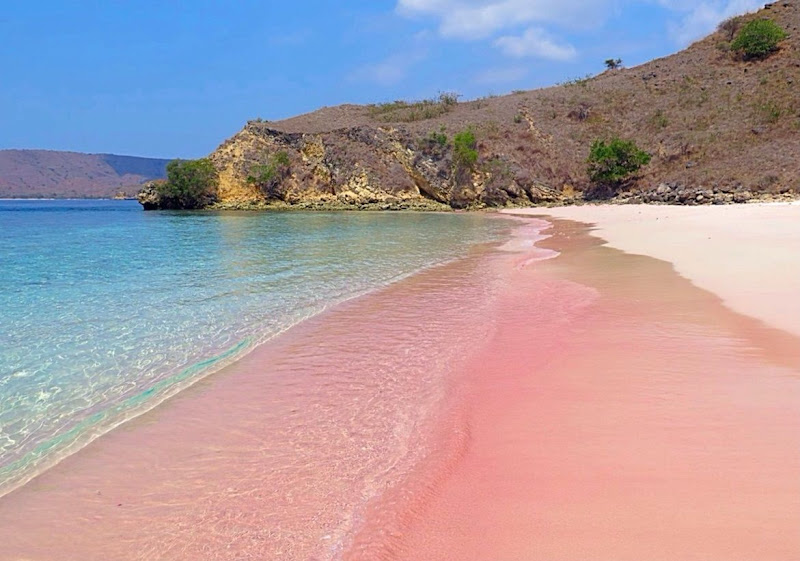 Pink Beach Lombok