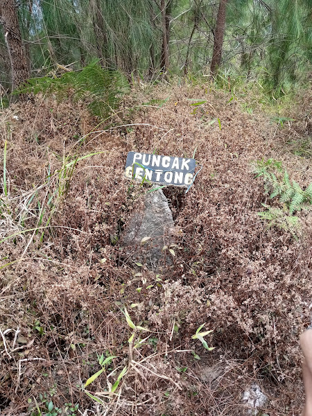 Gunung Gentong Gowah ꦒꦸꦤꦸꦁꦒꦼꦤ꧀ꦠꦺꦴꦁꦒꦺꦴꦮꦃ