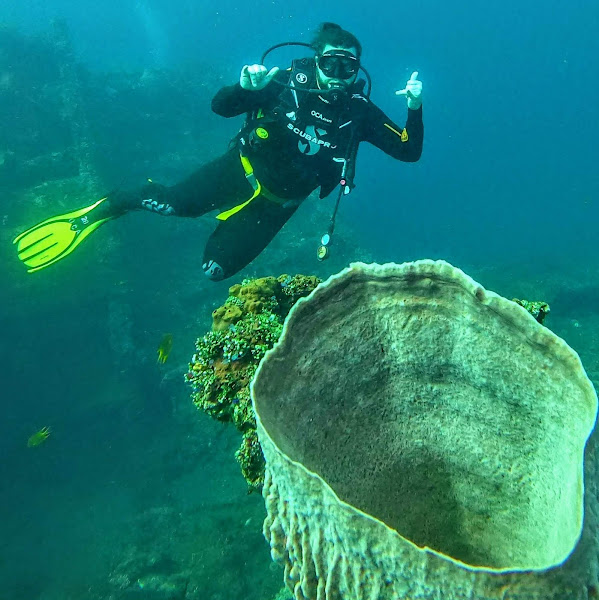 OCA Divers