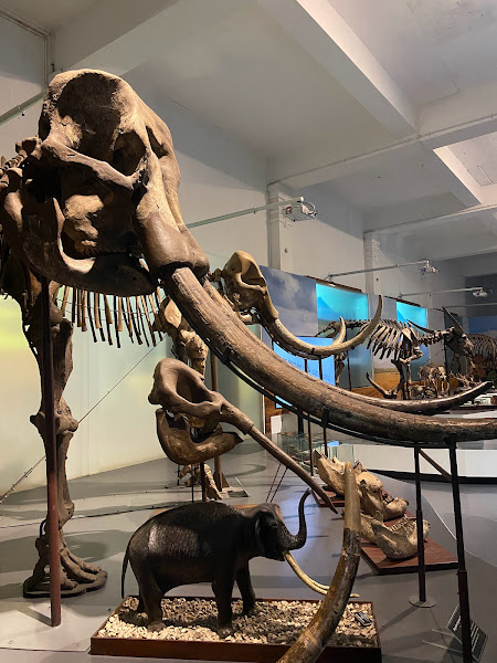 Museum Geologi Bandung