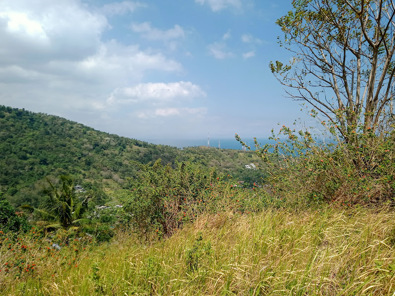 bukit mangsit