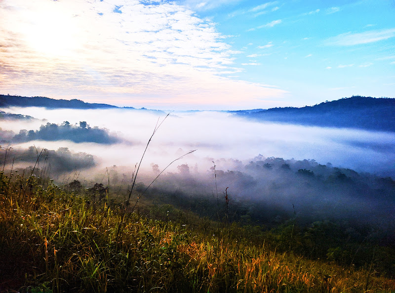 Bukit berkabut