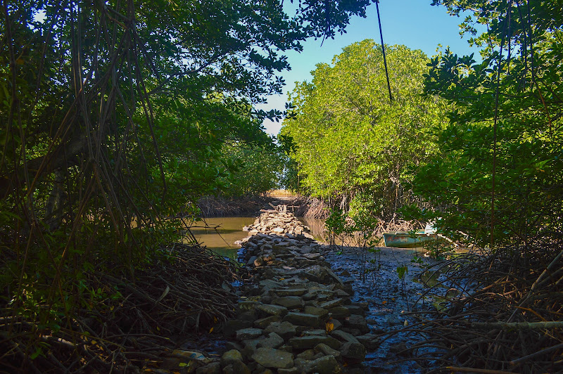 Taman Wisata Mangrove Mbay