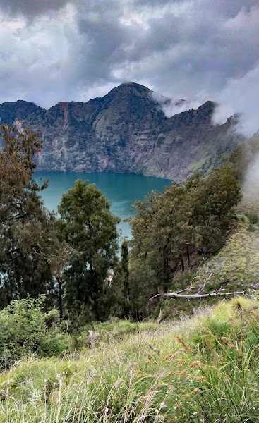 Anak gunung rinjani