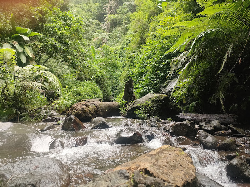 Coban Glotak