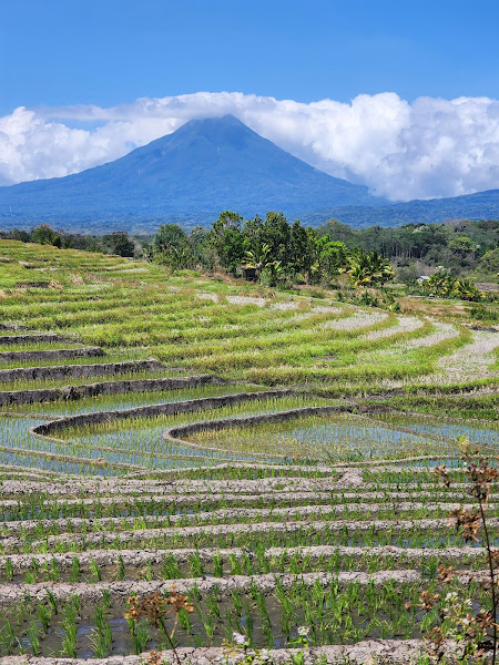 Gunung Ebu Lobo