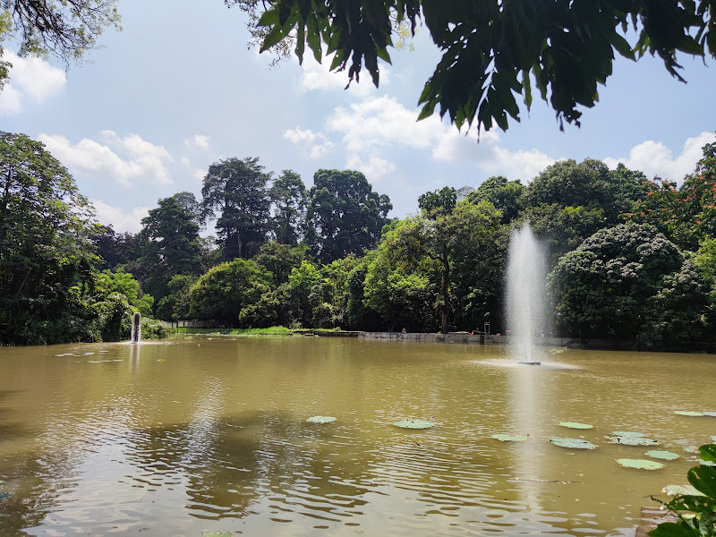 Danau Gunting Kebun Raya Bogor