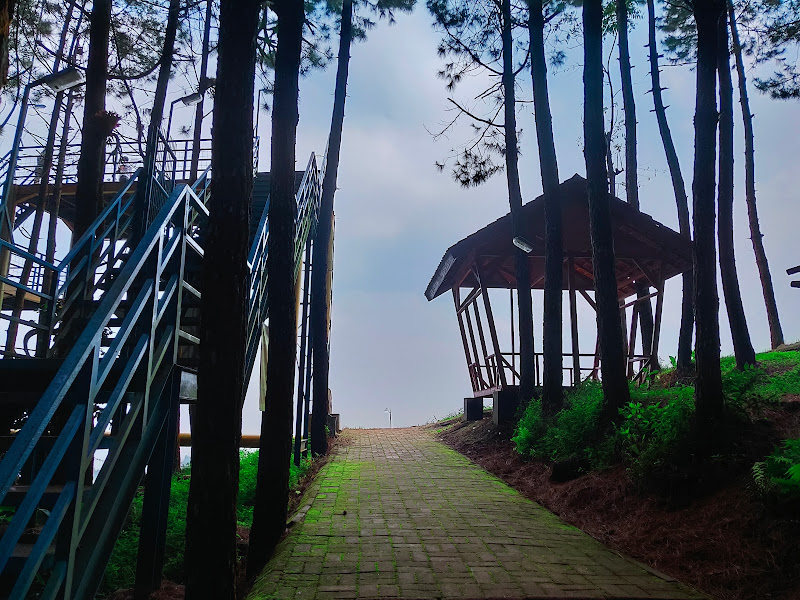 Bukit Moko