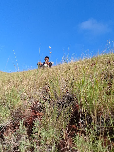 Gunung Kerbau