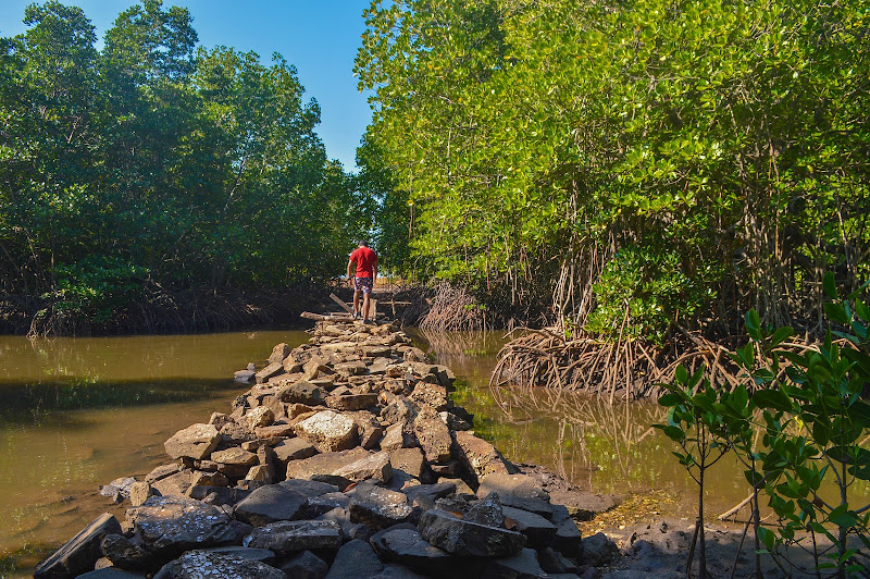 Taman Wisata Mangrove Mbay