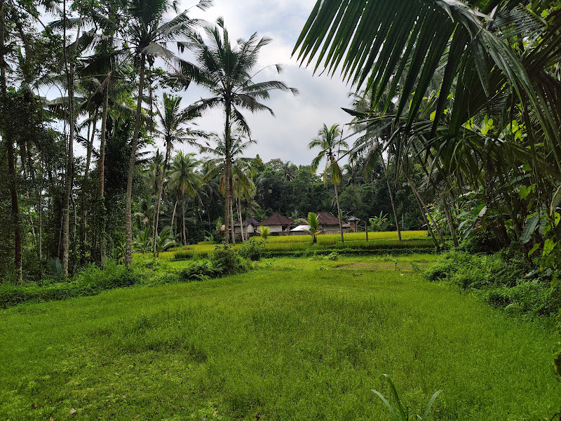 Air Terjun Manuaba