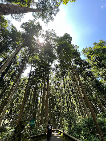 Objek Wisata Sangeh