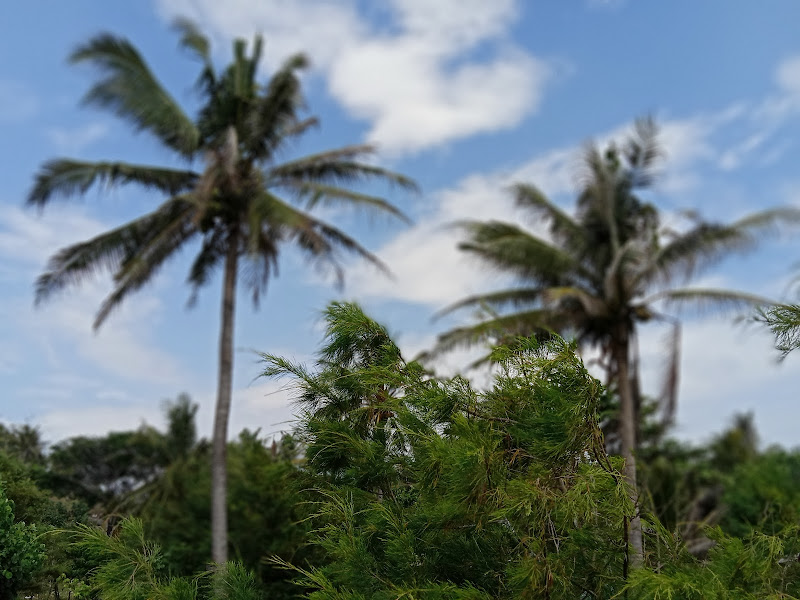 Pantai Parang Dowo