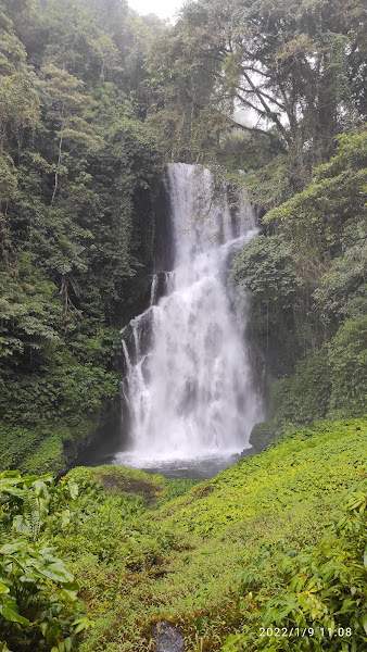 Air Terjun Cemara