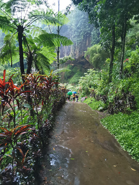 Coban Jahe