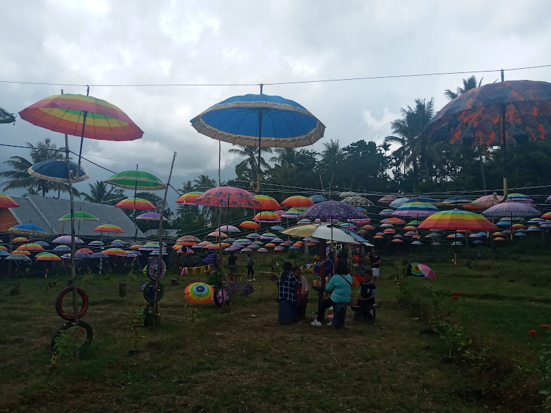 Taman Bunga Pemuda Demokrat Desa Tublopo