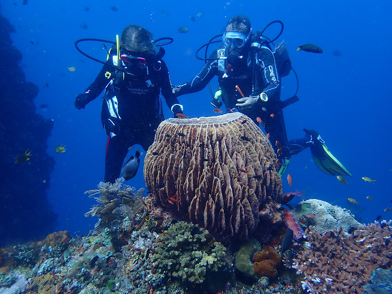 Nusa Dua Dive Centre