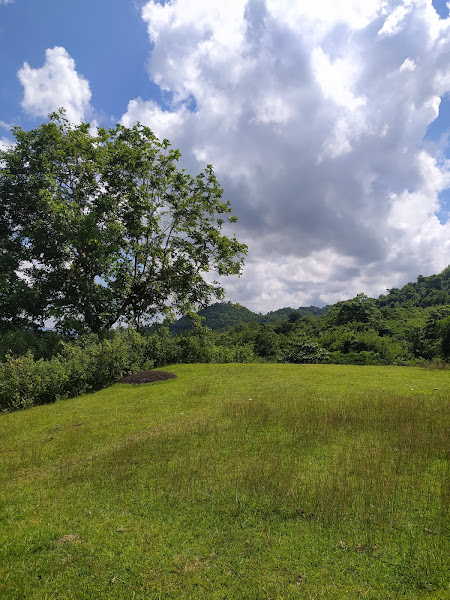 Bukit teletubbies