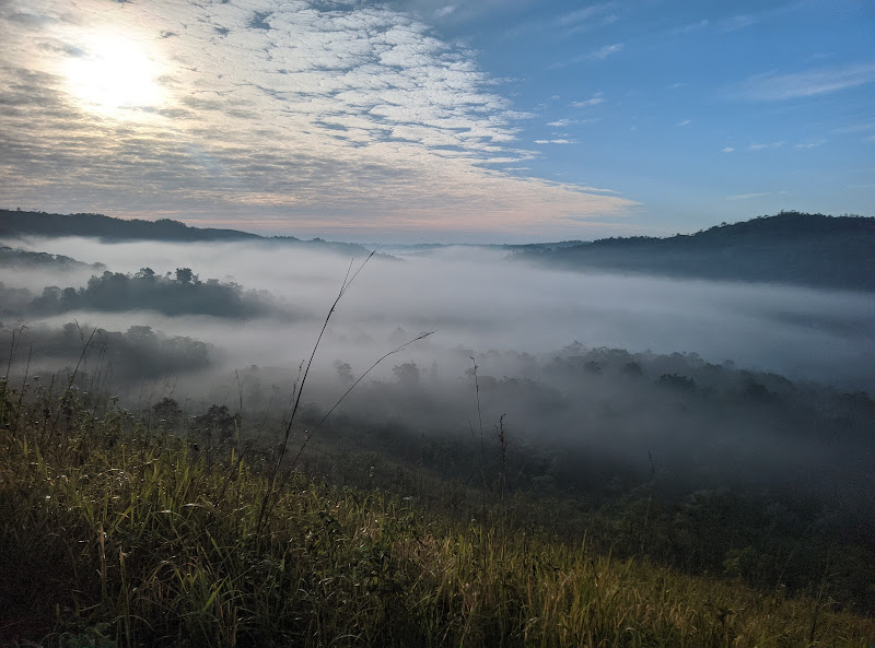 Bukit berkabut