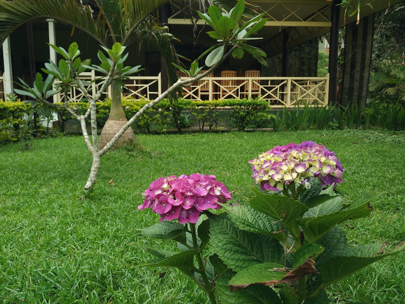 Lembah Rinjani Villa & Resto