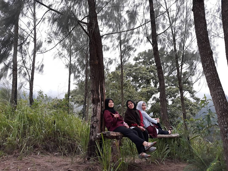 Air Terjun Sumber Pitu