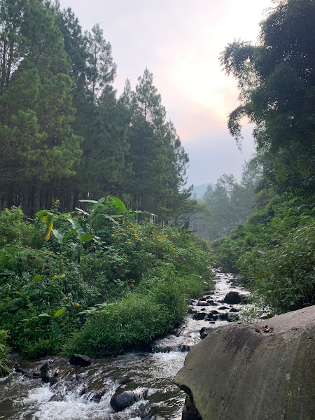 puncak bukit yang datar bedengab