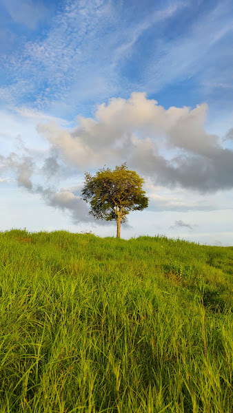Bukit Cinta