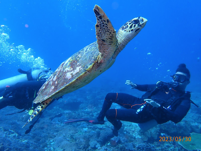 Nusa Dua Dive Centre