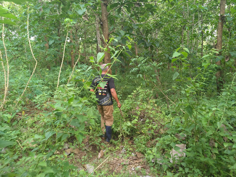 Gunung Kunci