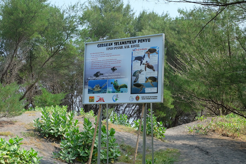 Pantai Goa Cemara