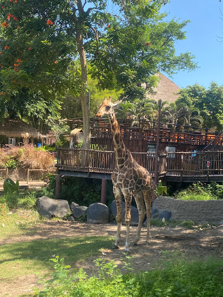 Taman Safari Bali