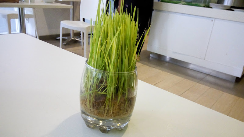 Zest Bogor by Swiss-Belhotel International