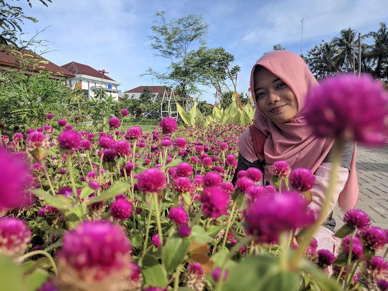 Jogja Agro Park (JAP)