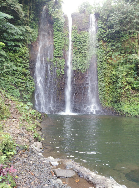 Wanagiri Pucak Manik Waterfall