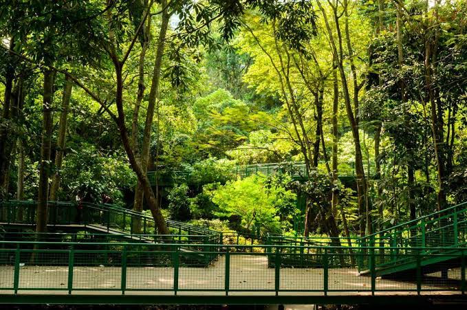 Jalur Hutan Kota Babakan Siliwangi Bandung