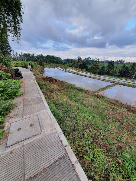 Jogging Track Penarungan