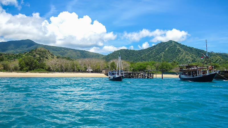 Loh Liang - Komodo National Park