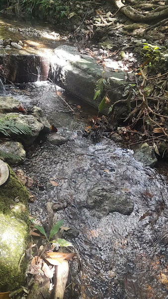 Mata air Lakokur Panggadu
