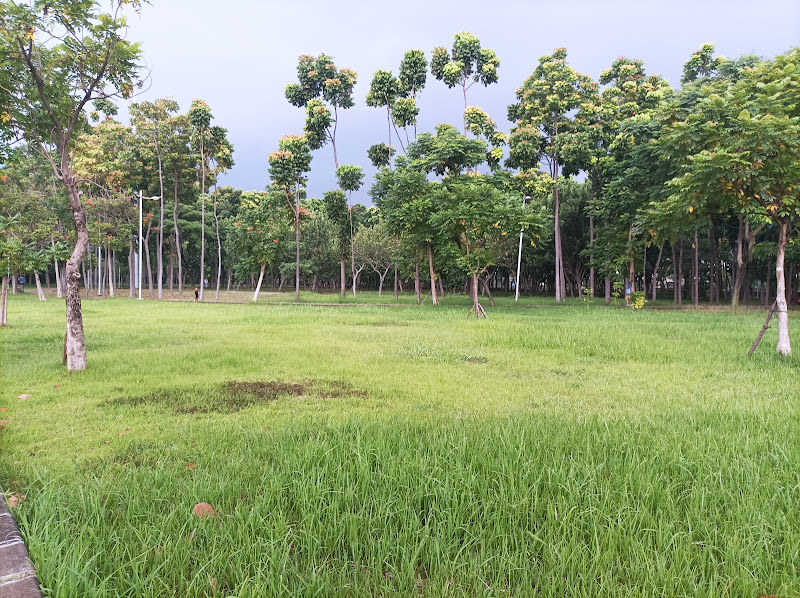 Taman Hutan Kota Penjaringan