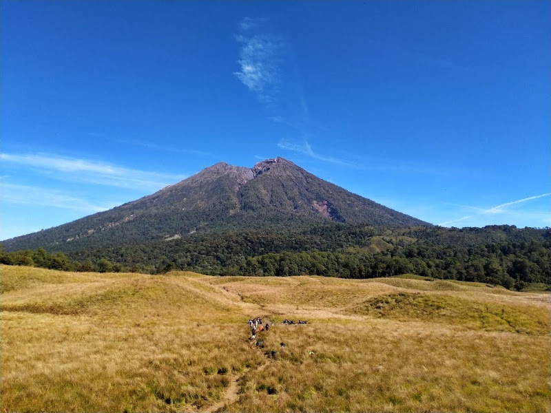 Savana Propok Lombok