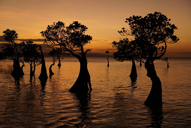 Walakiri Beach