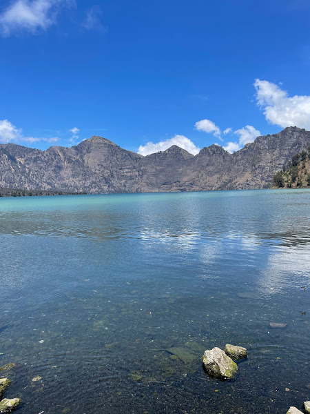 Anak gunung rinjani