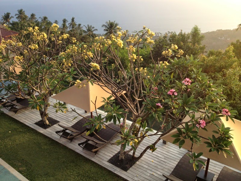 The Puncak