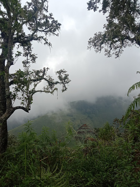 Trekking Rinjani via Aik Berik