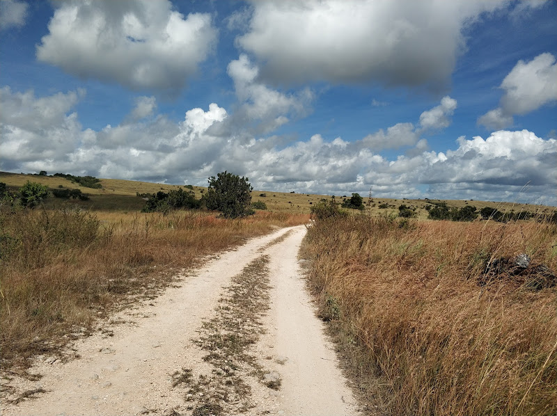 Savana Puru Kambera