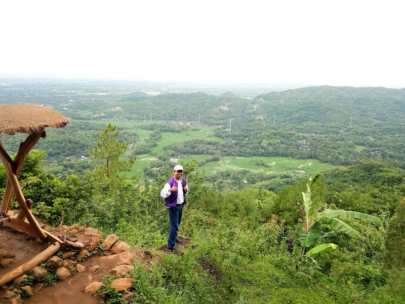 Puncak Pinus Becici Yogyakarta