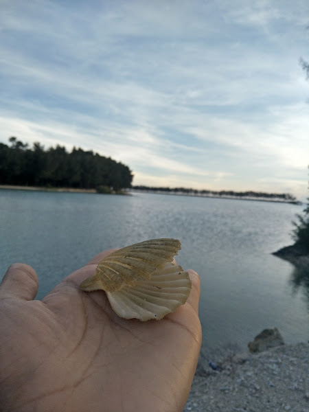 Danau Asmara